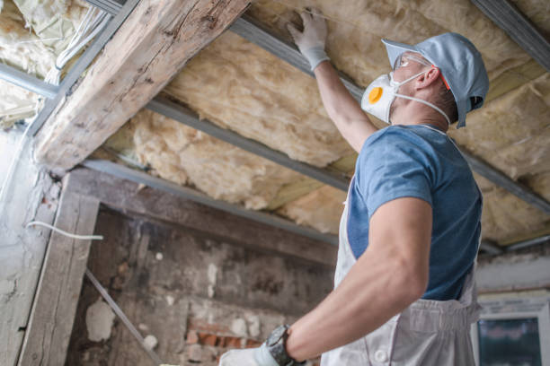 Best Home Insulation Services  in Tipton, MO