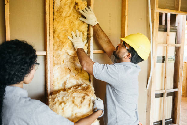 Best Garage Insulation Installation  in Tipton, MO
