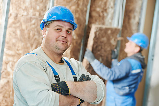 Best Insulation Inspection Services  in Tipton, MO