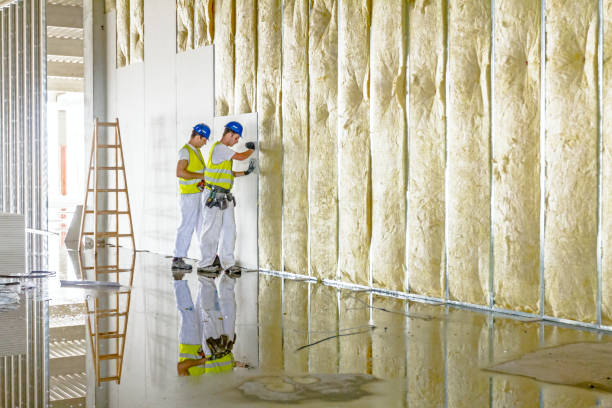 Best Affordable Insulation Services  in Tipton, MO